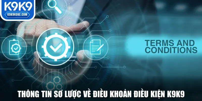 Nội dung sơ lược về điều khoản điều kiện K9K9