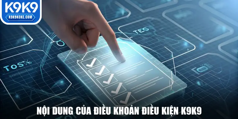 Nội dung chuẩn của điều khoản điều kiện K9K9