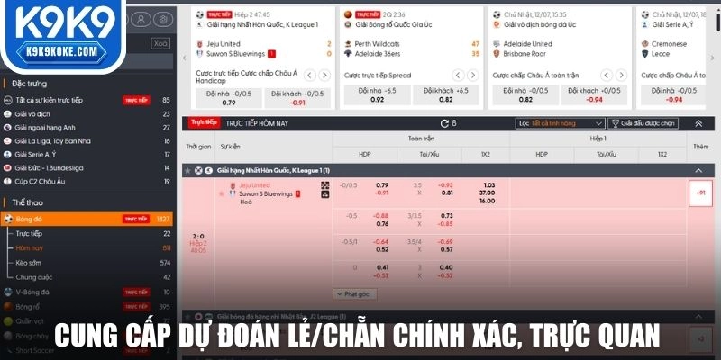 Cung cấp dự đoán lẻ/chẵn chính xác, trực quan trên thể thao K9K9